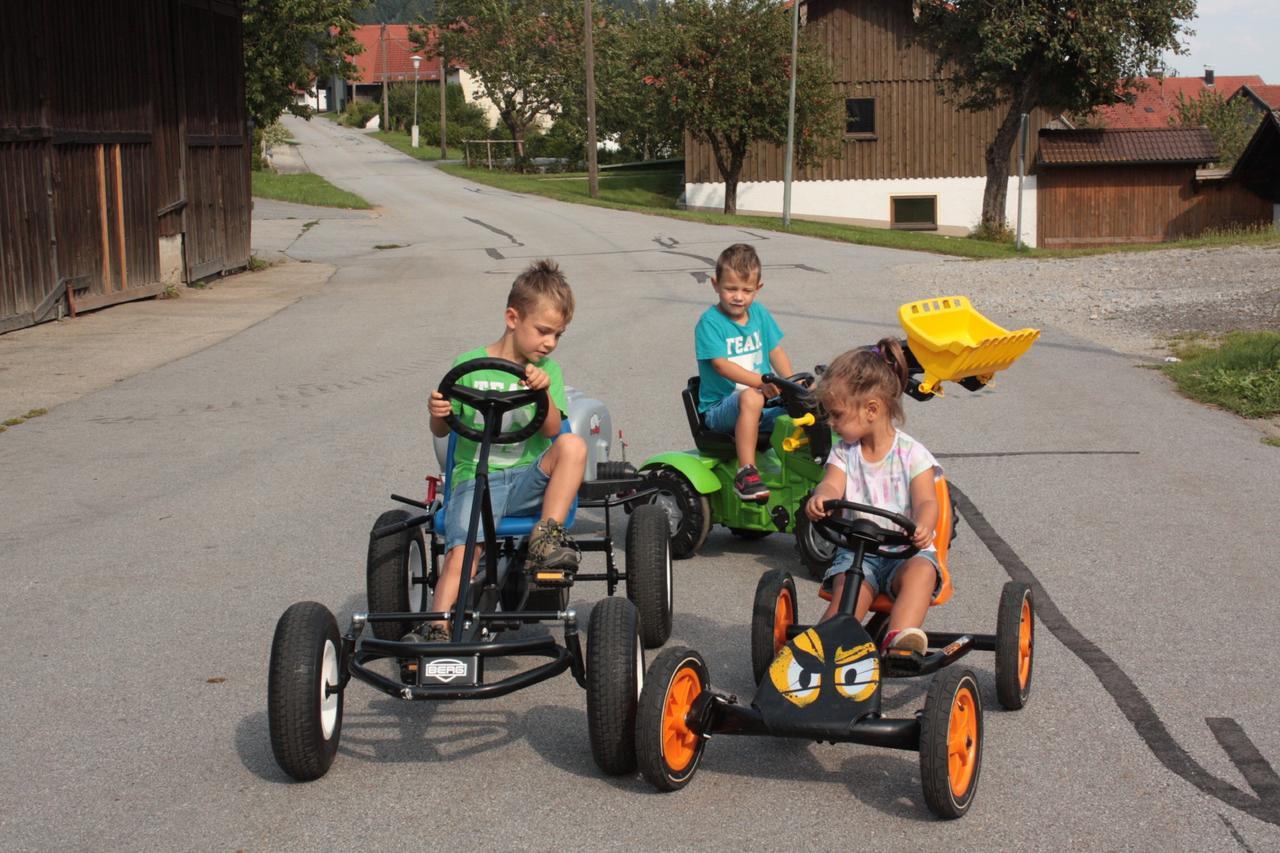 Ferienhof Naderhirn - Bauernhof Wegscheid Exteriör bild